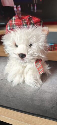 West highland terrier plush - highland,