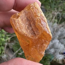 Copal Tree  Resin Rough Raw