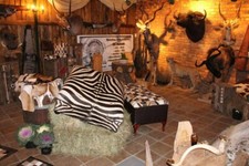 Authentic Zebra Skin Ottoman