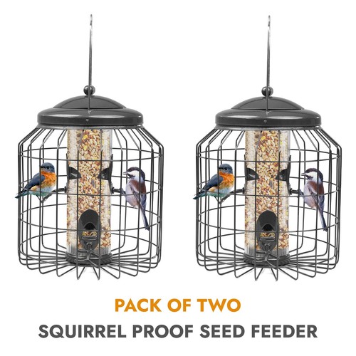 Squirrel proof hanging - x,