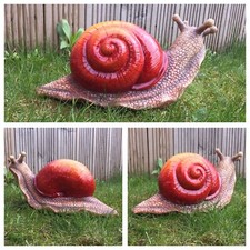 Large Glorious Snail for