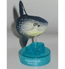 Ocean Sunfish Figure "Kuroshio