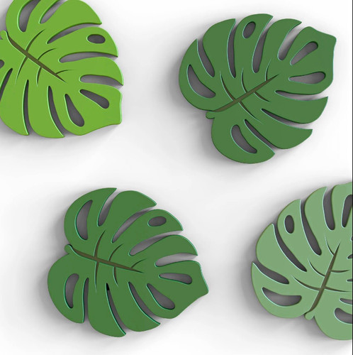 Green monstera leaf wood - monstera,