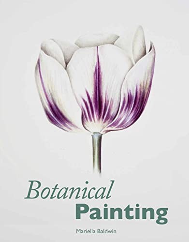 Botanical painting baldwin - by,