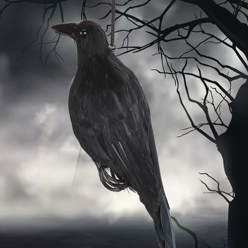 Feathered black crow decoy - feathered,