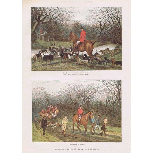 Harrison victorian fox - gl,