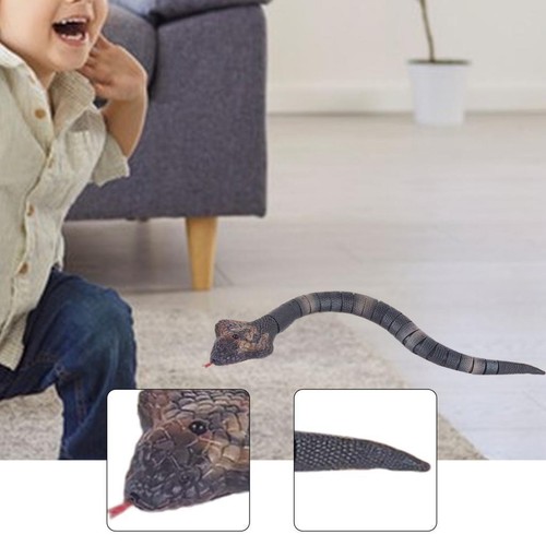 Remote control snake prank - control,