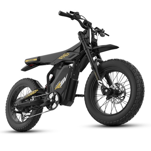 Electric dirt bike 2000w peak - electric,