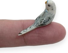 1" White Gray  Budgerigar Bird