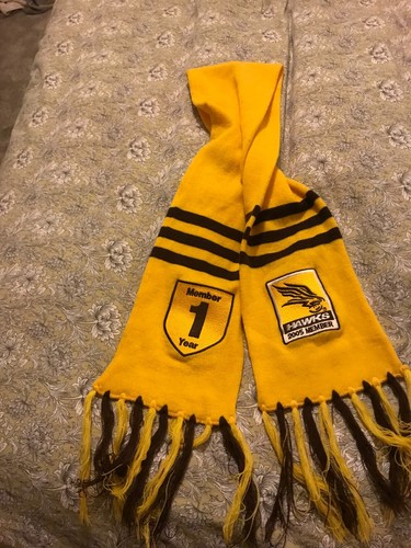 Hawthorn football club fan - football,