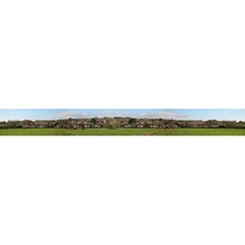 GAUGEMASTER Large Backscene -