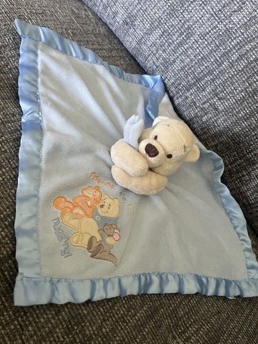Disney store winnie the pooh - winnie,