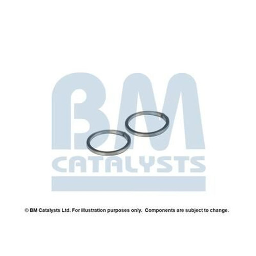 Catalysts mounting kit - bm,