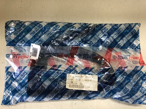 Fiat punto door gasket - punto,