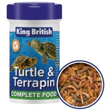 King British Turtle Terrapin
