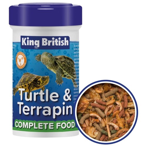 King british turtle terrapin - british,