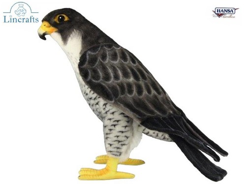 Falcon plush soft toy - falcon,