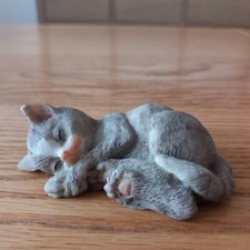 Beautiful Tabby Kitten Curled