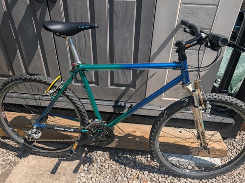 Diamond back ascent - back, 18.5"