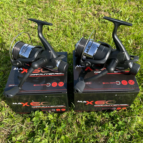 Carp fishing bait - carp,