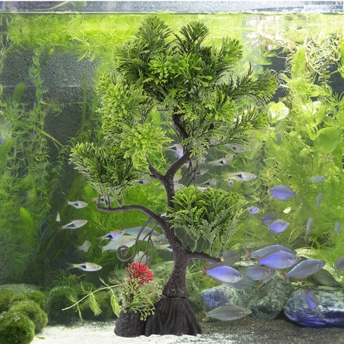 Aquarium tree realistic - tree,