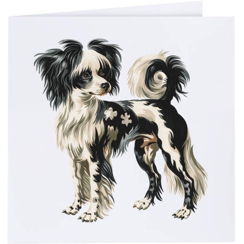 Chinese crested dog - crested, dog'