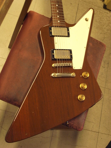 Burny rex natural - [burny],