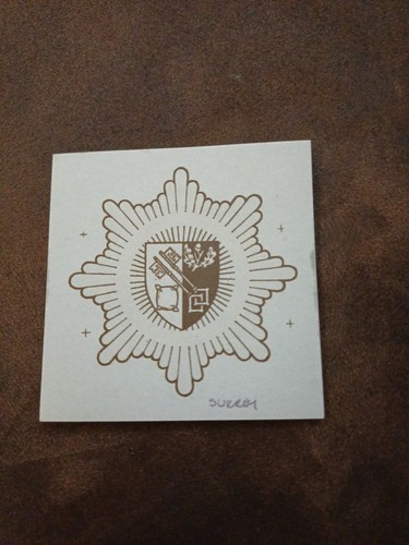 Surrey fire and rescue helmet - surrey,