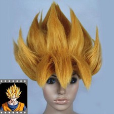 Anime Dragonball Z Cosplay