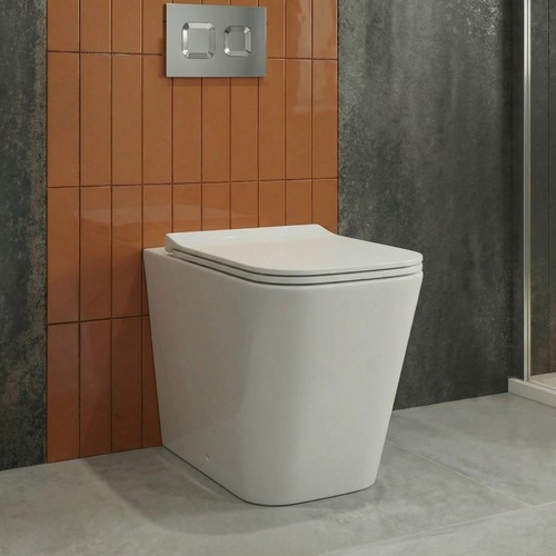 Delphi magnum rimless - rimless, back