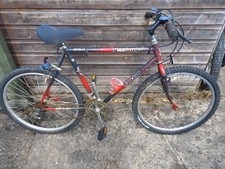 Raleigh Mustang Mountain Bike 21 Inch Frame 