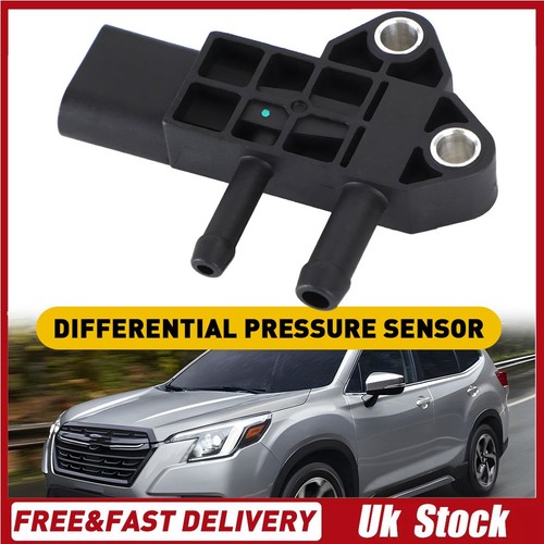 Egr exhaust dpf differential - exhaust,