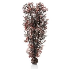 BiOrb Crimson Sea Fan - Large
