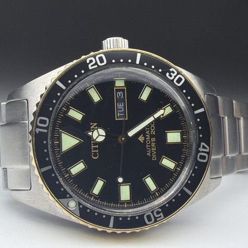 Citizen promaster automatic - promaster,