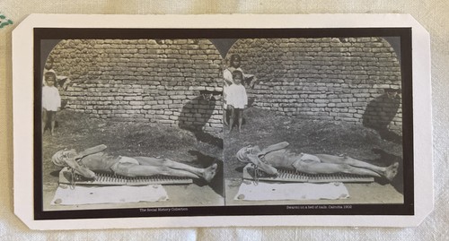 Stereoscope slide swarmi - stereoscope,