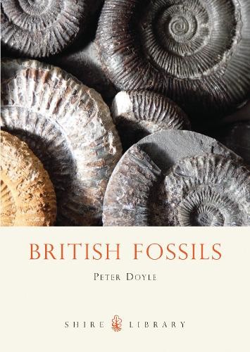 British fossils shire - british, (shire
