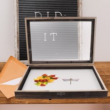 Wooden Insect Specimen Display