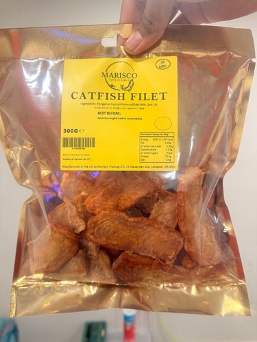 Catfish fillet fish 300g - fillet,