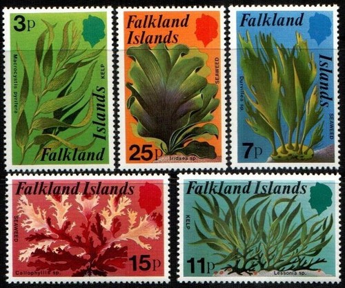 Falkland islands 1979 - -,
