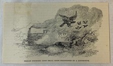 1894 magazine engraving ~