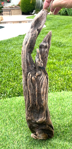 Manzanita natural driftwood - natural,