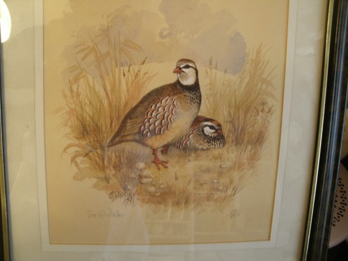 Bird prints signed - 4,