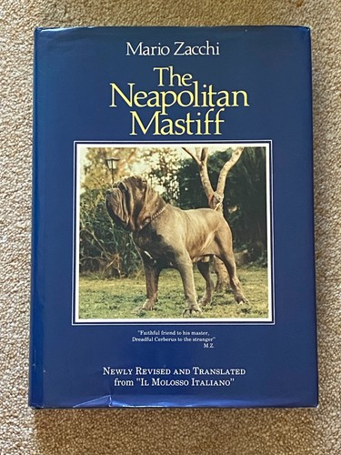 Rare the neapolitan mastiff - rare,
