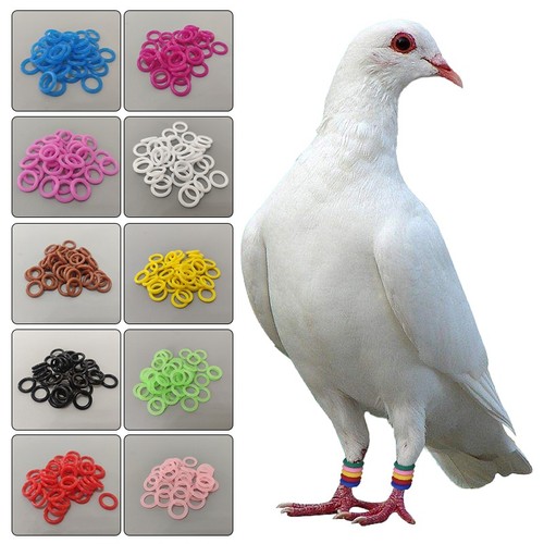 100pcs reusable foot - 100pcs,