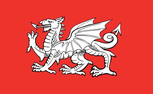 English white dragon 5 - white, x