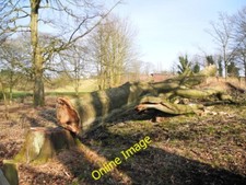 Photo 6x4 Timber, Medlock Vale Droylsden Nice saw cut, plenty of firewood c2013