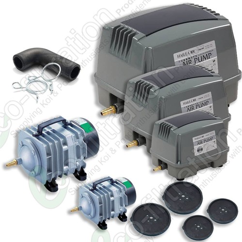 Pond air pump koi - pond,