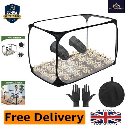 Portable mushroom cultivation - mushroom,