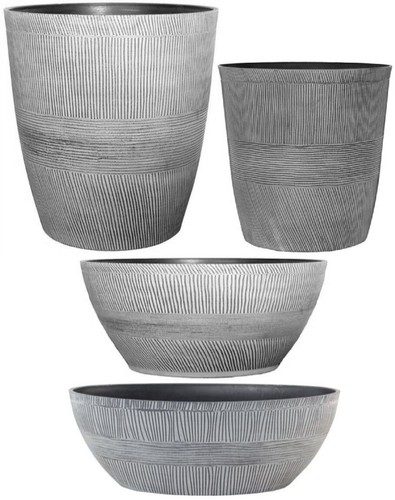 Ebony grey smalllarge plant - ebony,