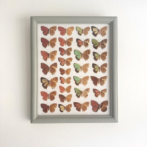 Butterfly print painted - print, –